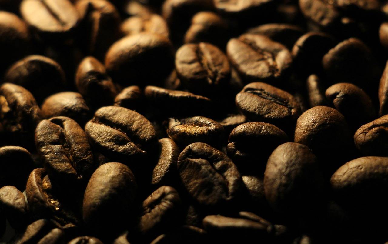 Co na mszyce na fasoli pomoże naturalnie pozbyć się szkodników?